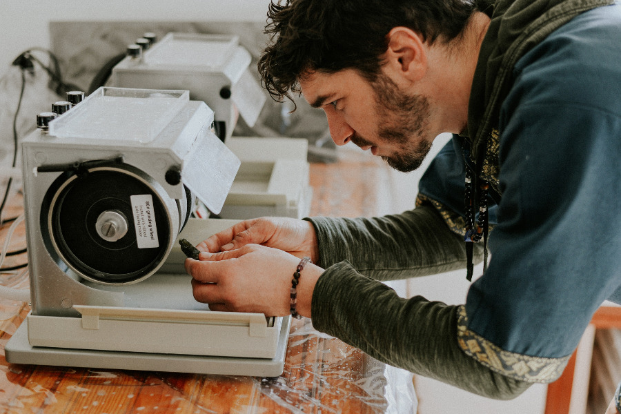 Pierres-de-joielaria