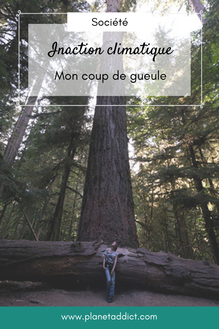 Pin-inaction-climatique