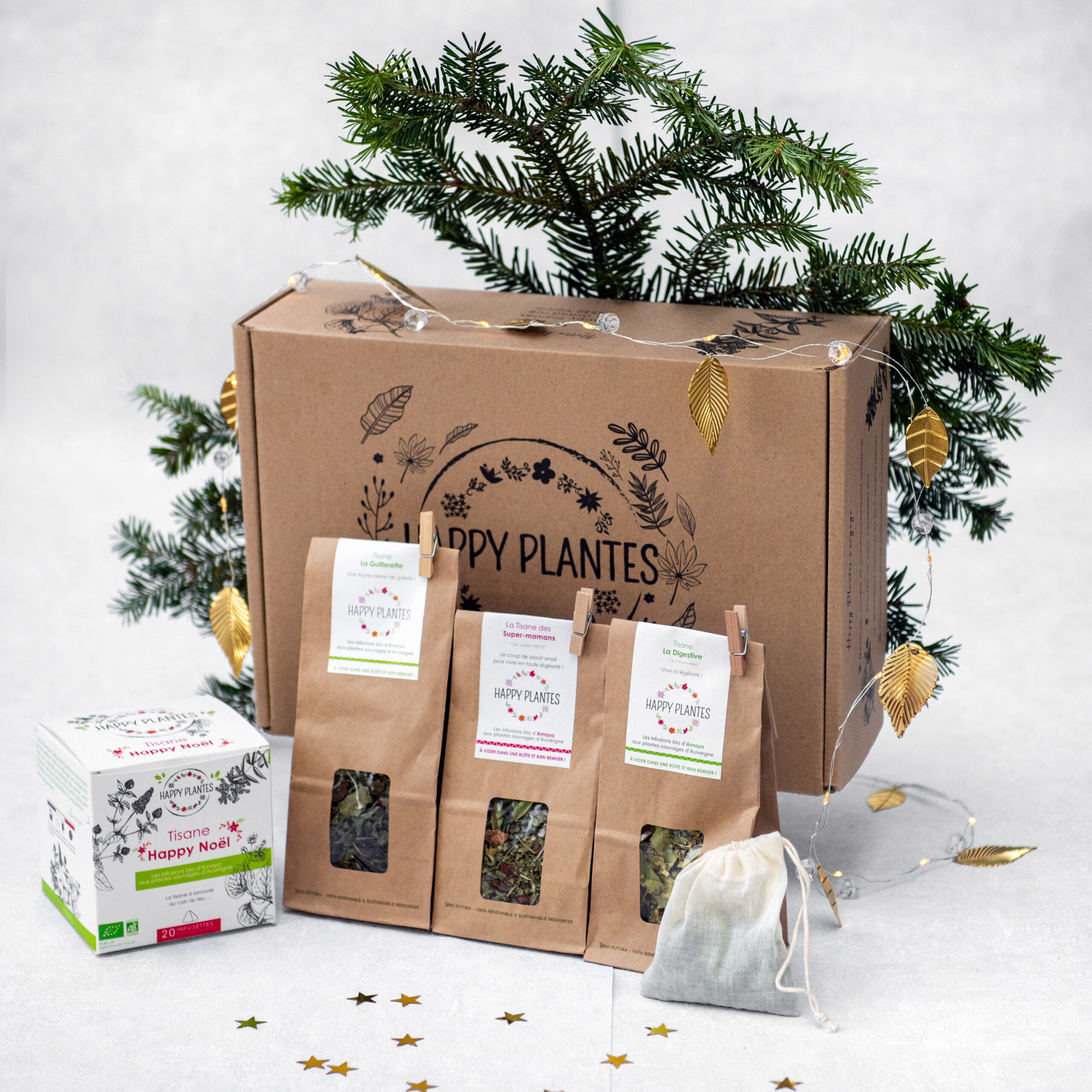 coffre-noel-happy-plantes