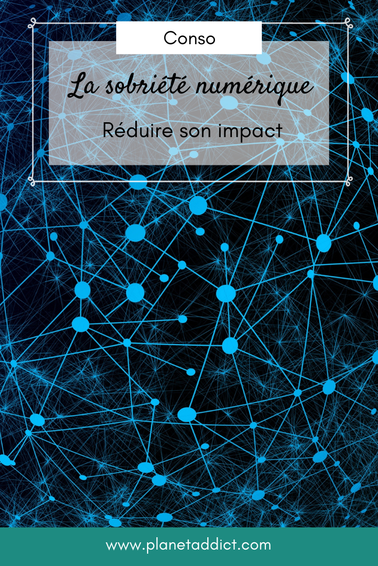 Sobriete-numerique-Pin