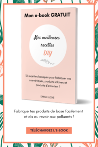 recettes-diy-pmlanetaddict